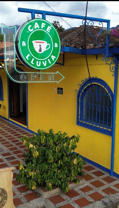 Cafe&lluvia